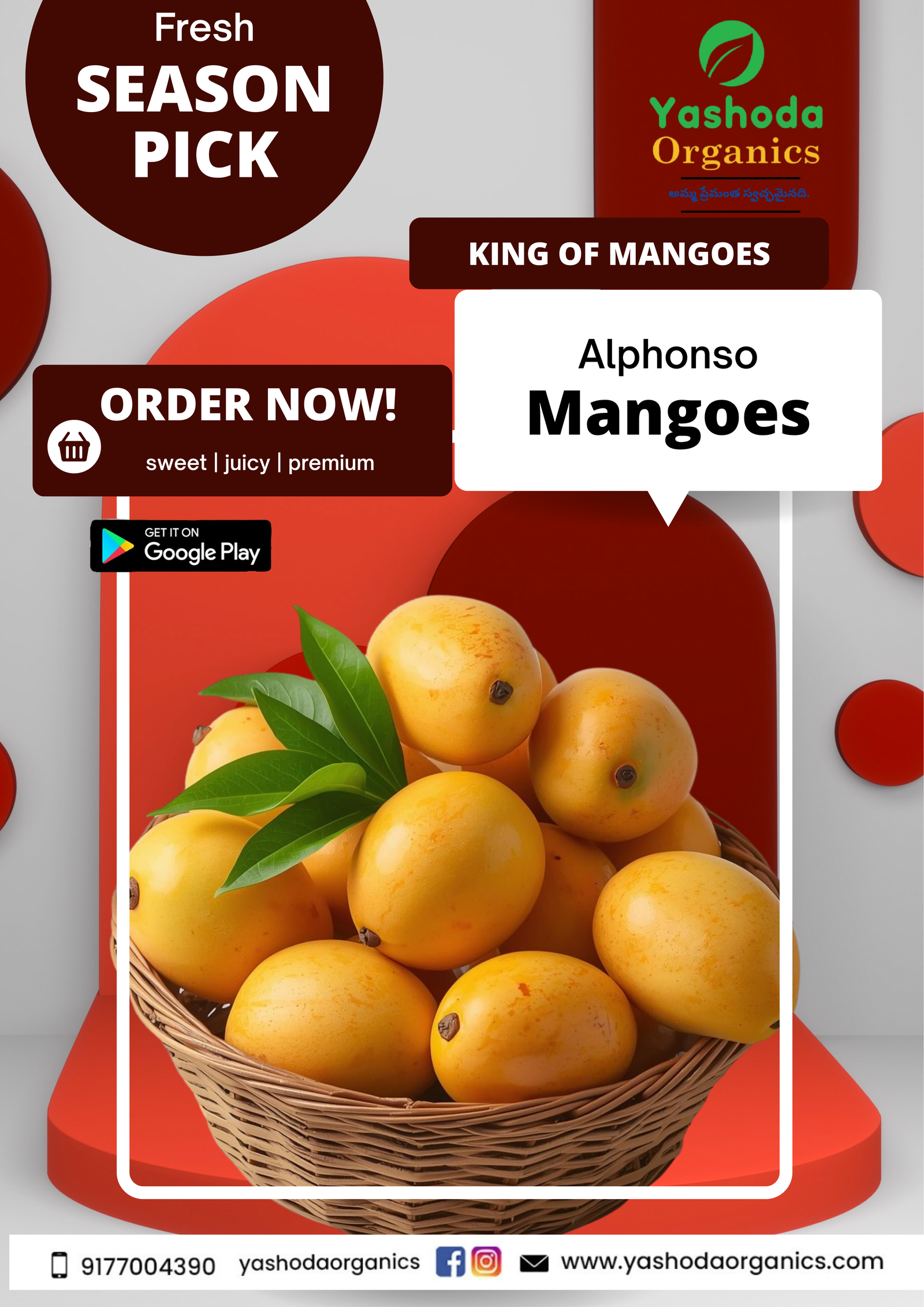 ALPHANSO MANGO (KING OF MANGO)